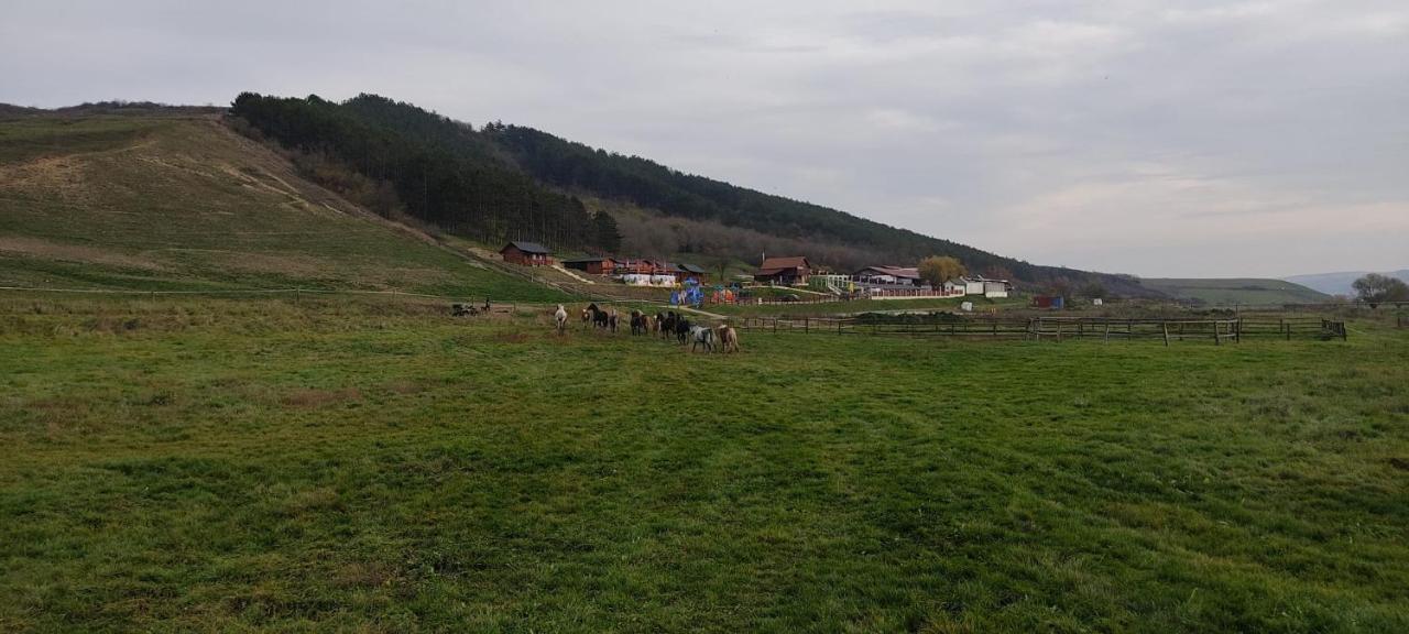 La Hacienda Ξενοδοχείο Chetani Εξωτερικό φωτογραφία